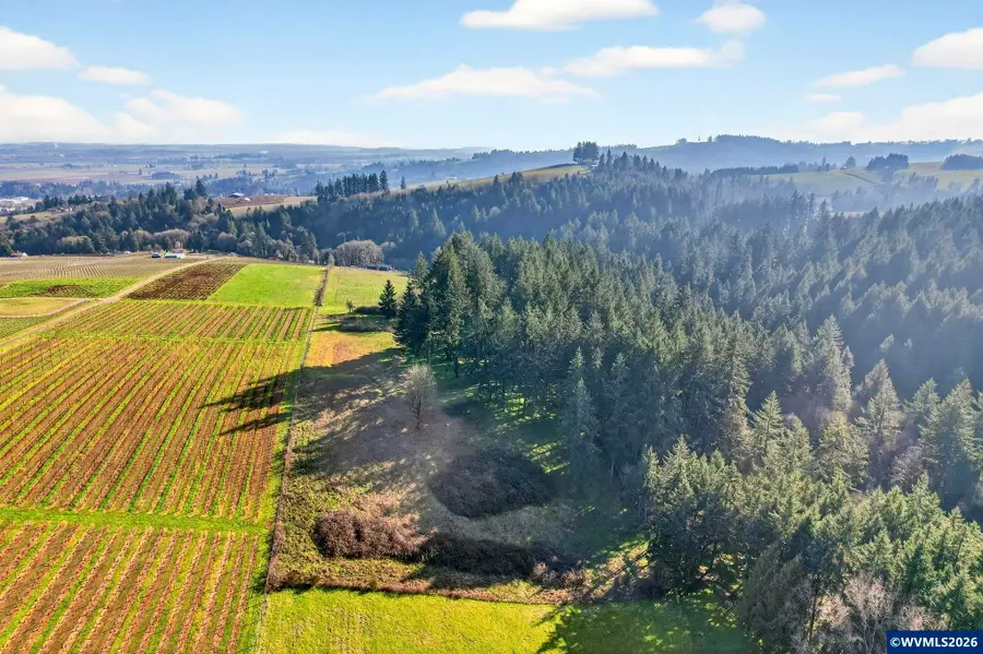 TA 73066 NE Fox Ln, Dundee, OR 97115 - #3