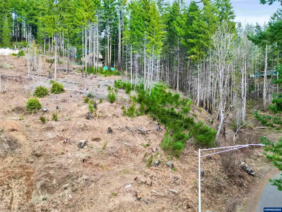 110  Guy Moore (Parcel 1 & 2) Dr E, Detroit, OR 97342 - #3