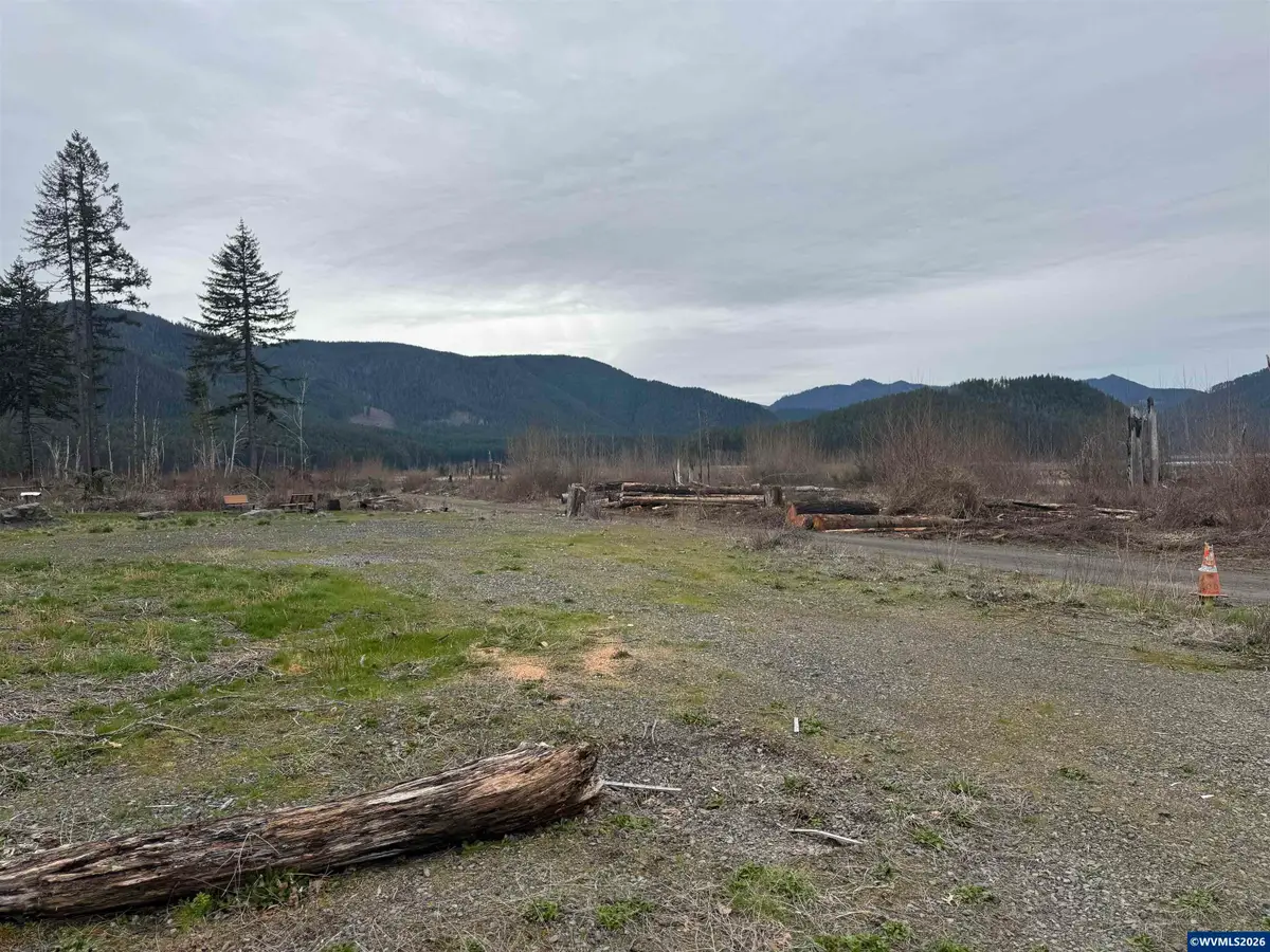 350  Santiam Av W, Detroit, OR 97342 - #1