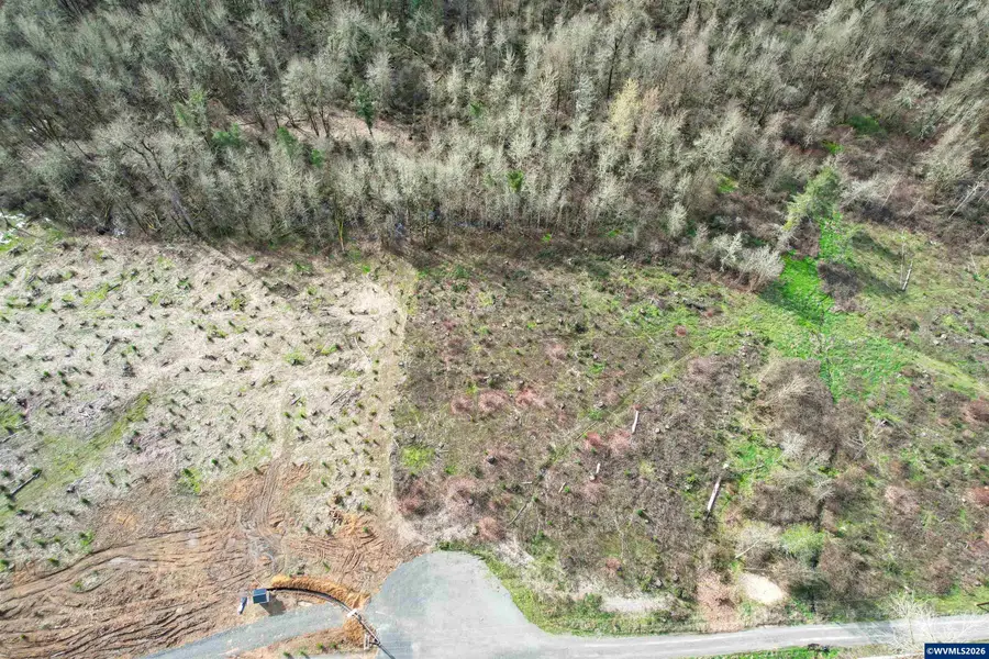 TL #0707469  Shilling (LOT 2) Dr, Scio, OR 97374 - #3