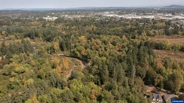 PP2020-49 Lot#2  N. of Osprey Ct. Rd, Albany, OR 97321