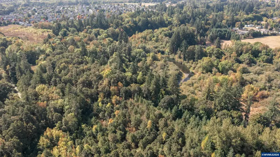 PP2020-49 Lot#2  N. of Osprey Ct. Rd, Albany, OR 97321 - #3