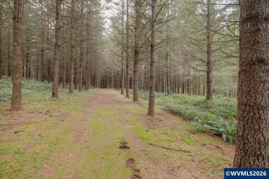 26825  Old Holley Rd, Sweet Home, OR 97386 - #3