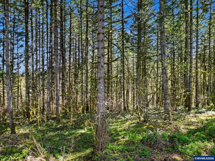 16835 W Ellendale Rd, Dallas, OR 97338 - #2