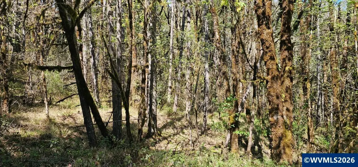 Lot 7  Iris Cir, Philomath, OR 97370 - #1