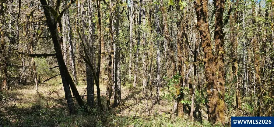 Lot 7  Iris Cir, Philomath, OR 97370 - #2