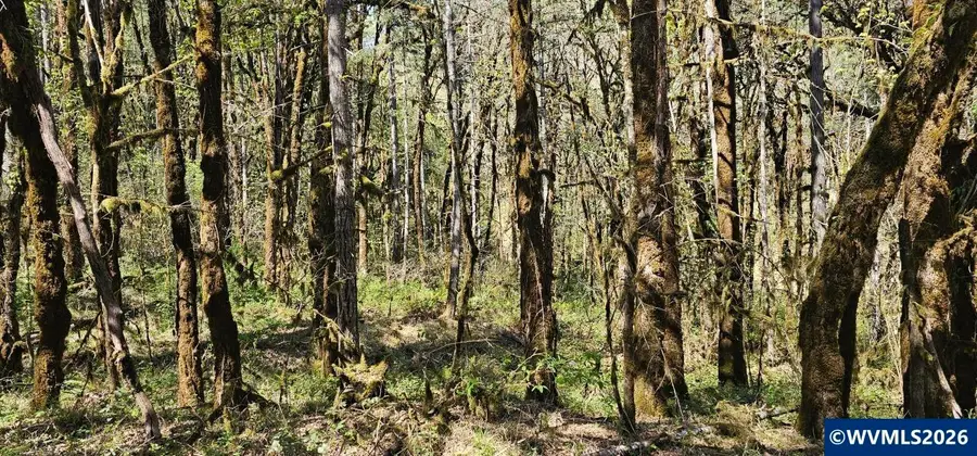 Lot 7  Iris Cir, Philomath, OR 97370 - #3
