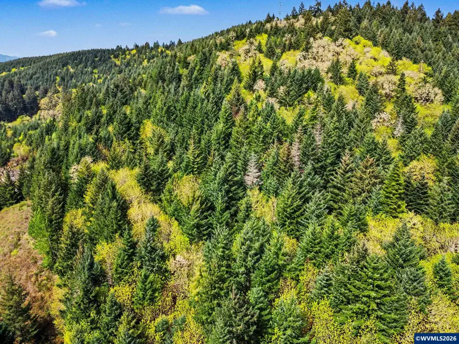 TA 288419  Aurora Ln, Philomath, OR 97370 - #3