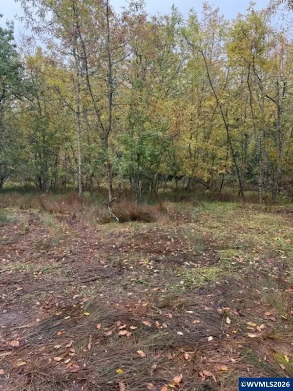 TA 0400362  Mountain Home Dr, Brownsville, OR 97327