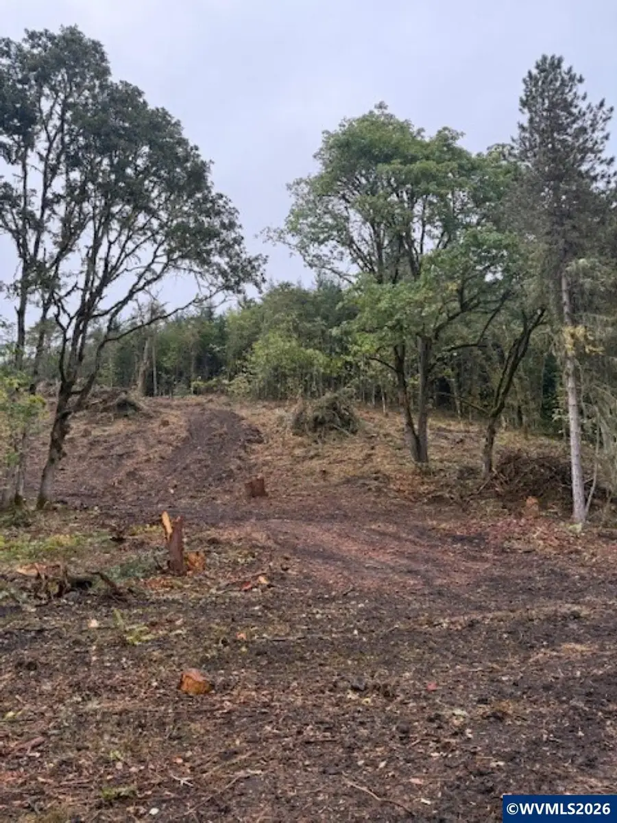TA 0400362  Mountain Home Dr, Brownsville, OR 97327 - #2