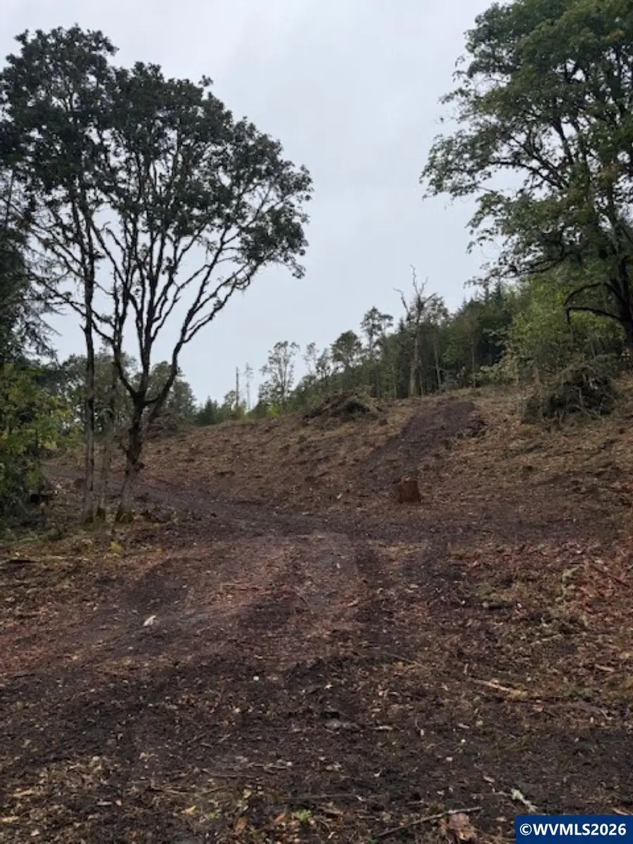 TA 0400362  Mountain Home Dr, Brownsville, OR 97327 - #3
