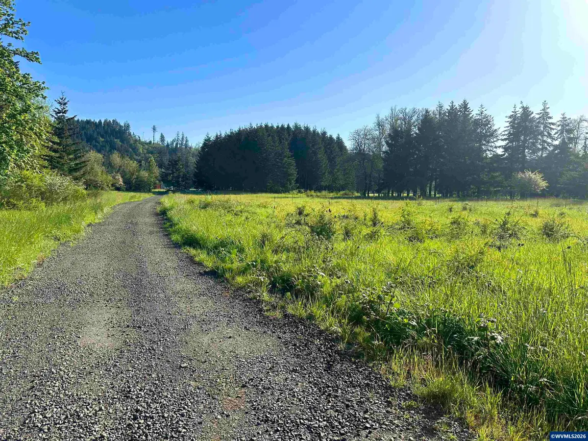 TL 294398  Salmon River Hwy, Willamina, OR 97396 - #1