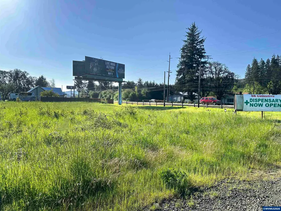 TL 294398  Salmon River Hwy, Willamina, OR 97396 - #3