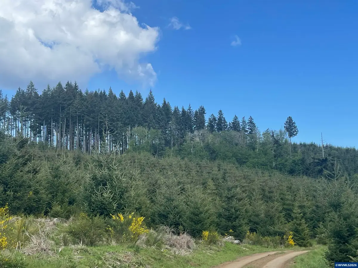 Lot 13 SW Rock Creek Rd, Sheridan, OR 97378 - #1