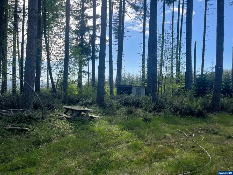 Lot 13 SW Rock Creek Rd, Sheridan, OR 97378 - #3