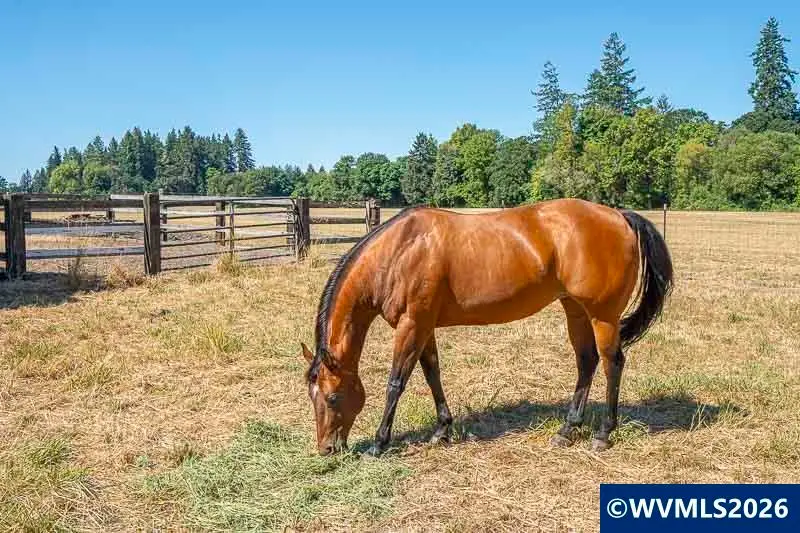 33844 SE White Oak Rd, Corvallis, OR 97333 - #3