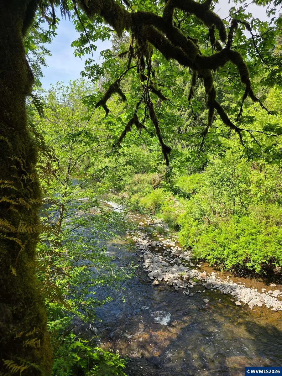 Lot 500  Lewis Cemetery Rd, Silverton, OR 97381 - #2