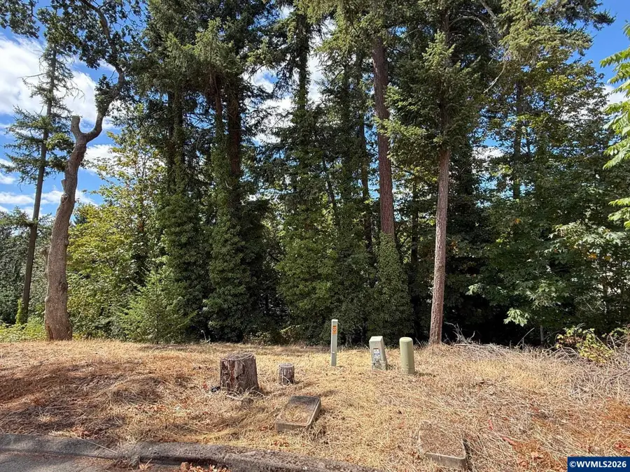 621  Timber View Lot 11 St NW, Salem, OR 97304 - #3
