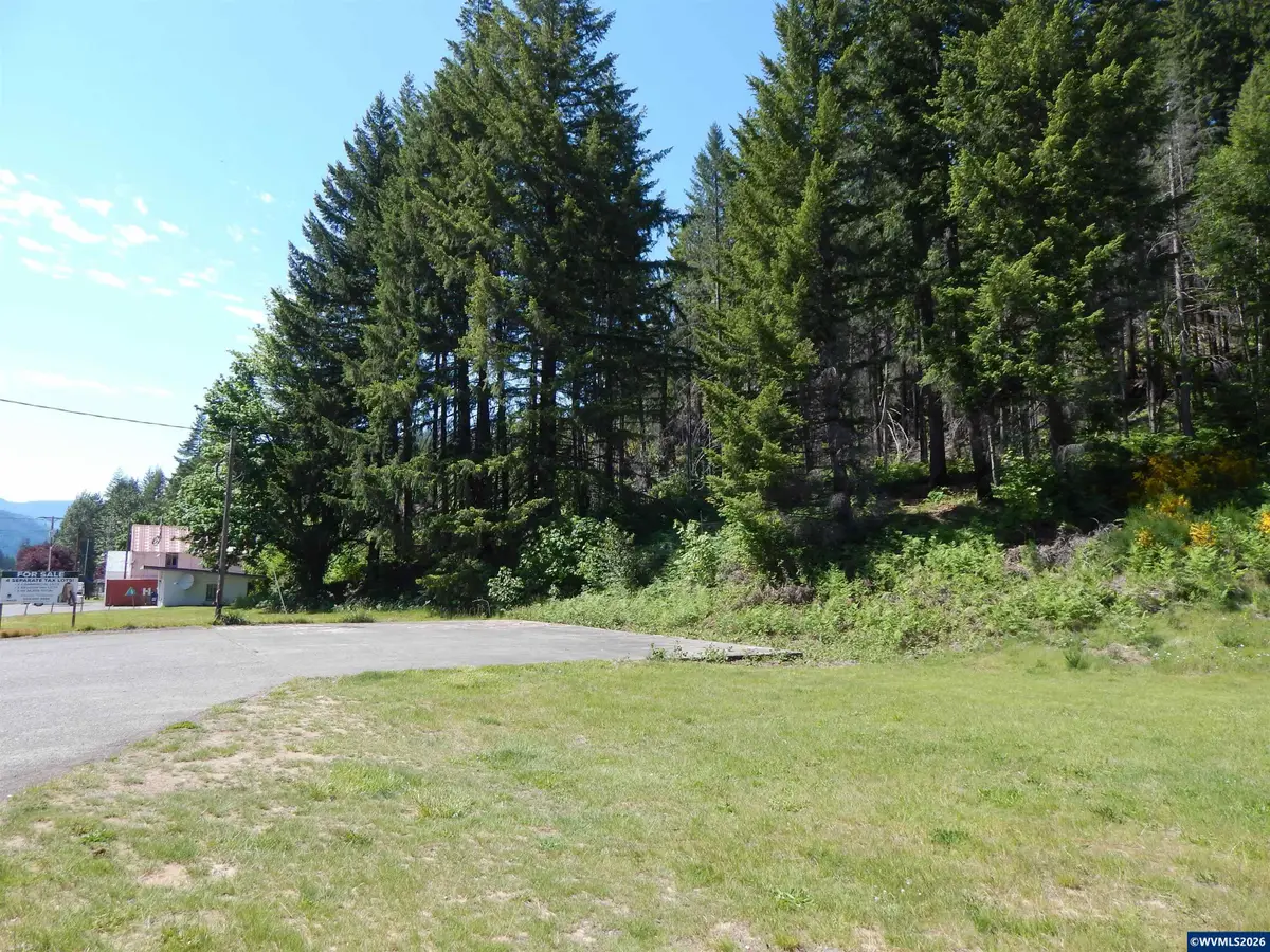 Lot 900 & 1000 N Santiam Hwy, Idanha, OR 97350 - #1