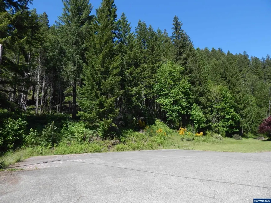 Lot 900 & 1000 N Santiam Hwy, Idanha, OR 97350 - #3