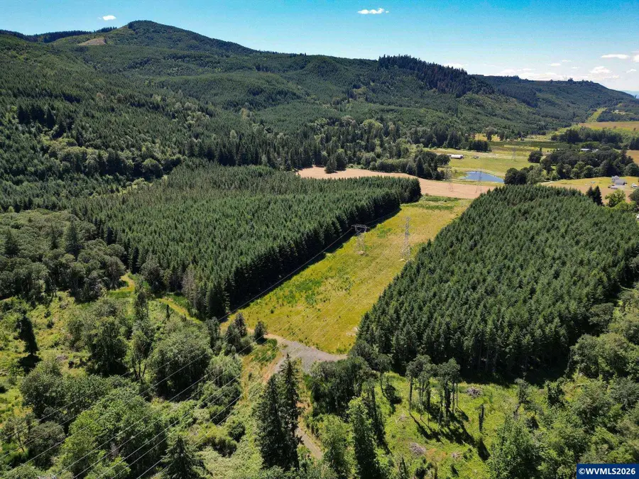 TL 2702 & 2703  S Cedar Mill Rd, Lyons, OR 97358 - #2