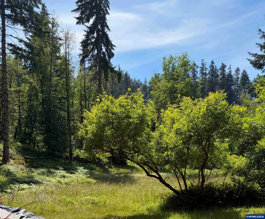 17016  Bratten Hill, Alsea, OR 97324 - #3