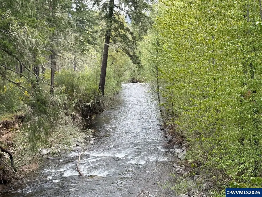 Kingwood Lot #100 Av, Mill City, OR 97360 - #2