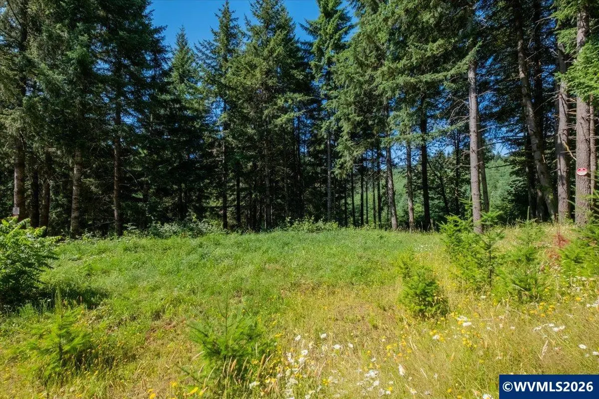 432  Chamberlain (Adj To) Rd, Falls City, OR 97344 - #1