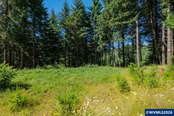 432  Chamberlain (Adj To) Rd, Falls City, OR 97344