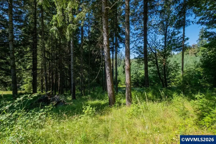 432  Chamberlain (Adj To) Rd, Falls City, OR 97344 - #3
