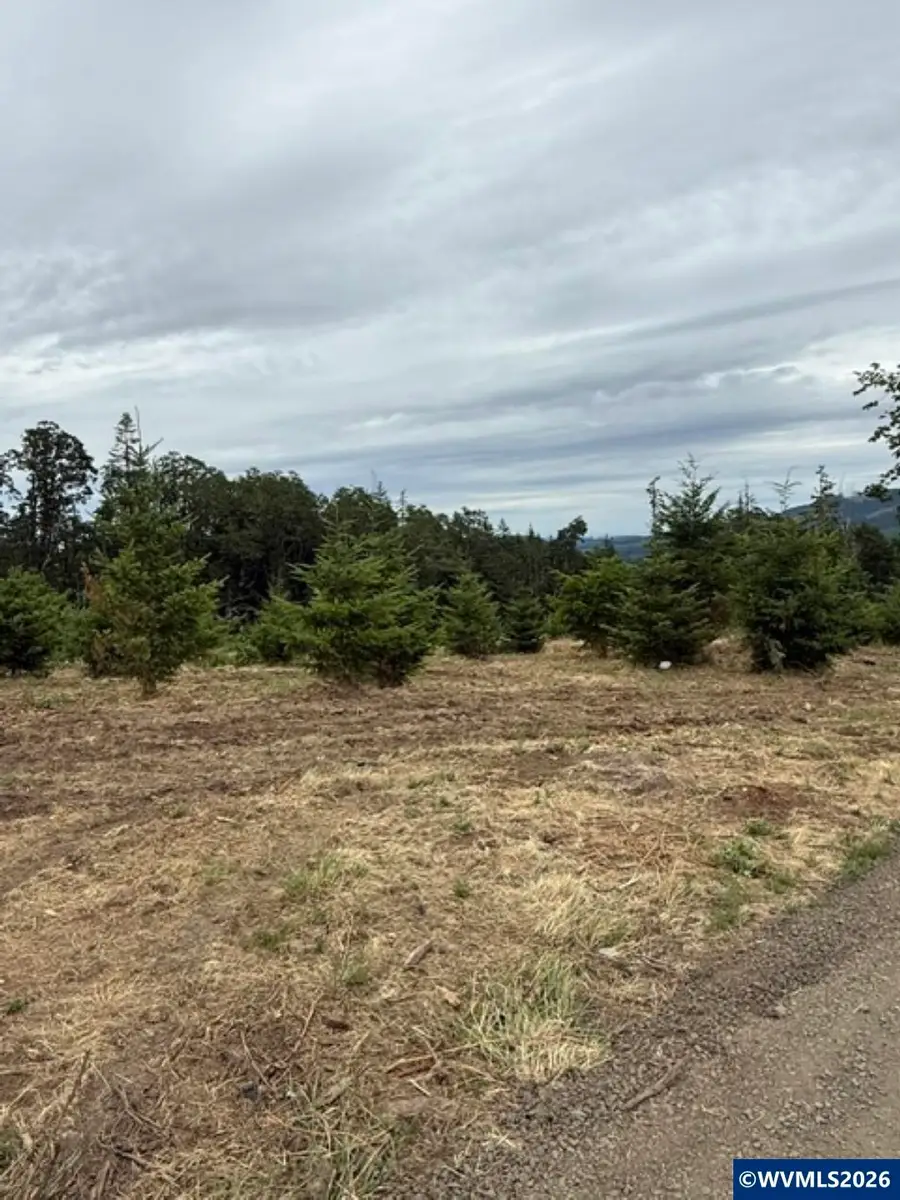 5595  Violet Dr, Sheridan, OR 97378 - #2