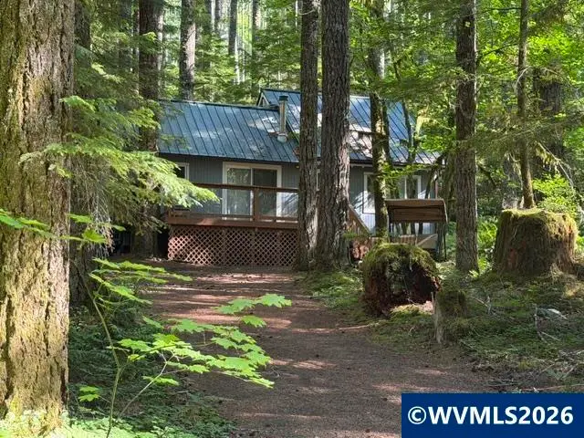 66B  Stahlman FS 049 Rd, Detroit, OR 97342 - #3