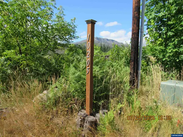 10205  North Fork Ln SE, Lyons, OR 97358