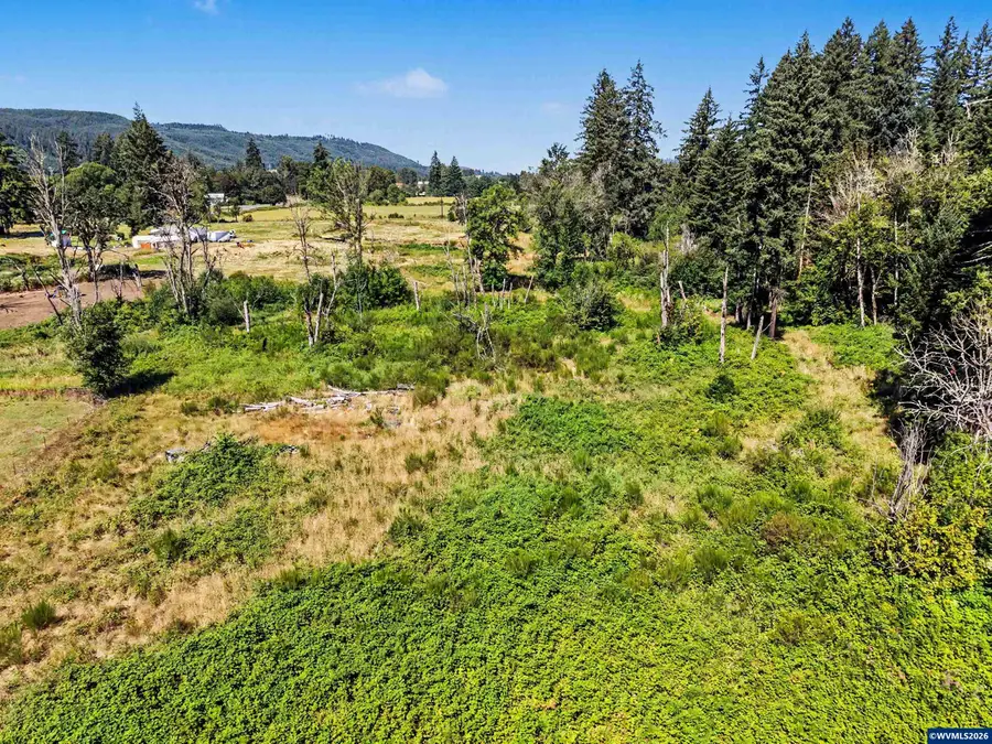 46321 next to  Lyons Mill City Rd, Lyons, OR 97358 - #2