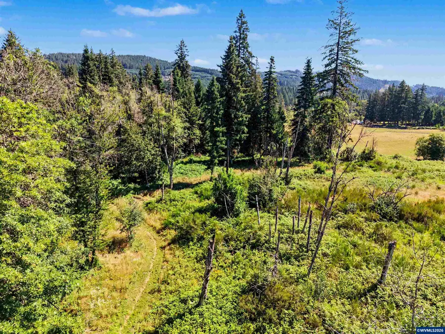 46321 next to  Lyons Mill City Rd, Lyons, OR 97358 - #3