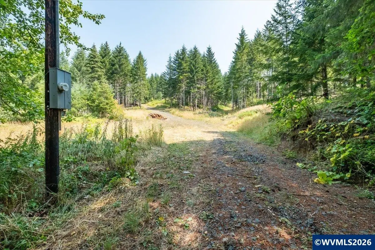 41662  Grover Rd, Blodgett, OR 97326 - #1