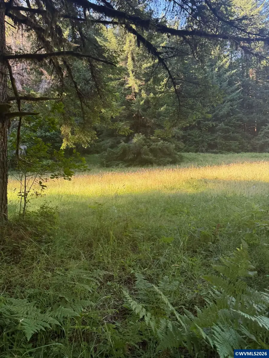 14382  Lobster Valley Rd, Alsea, OR 97324 - #2