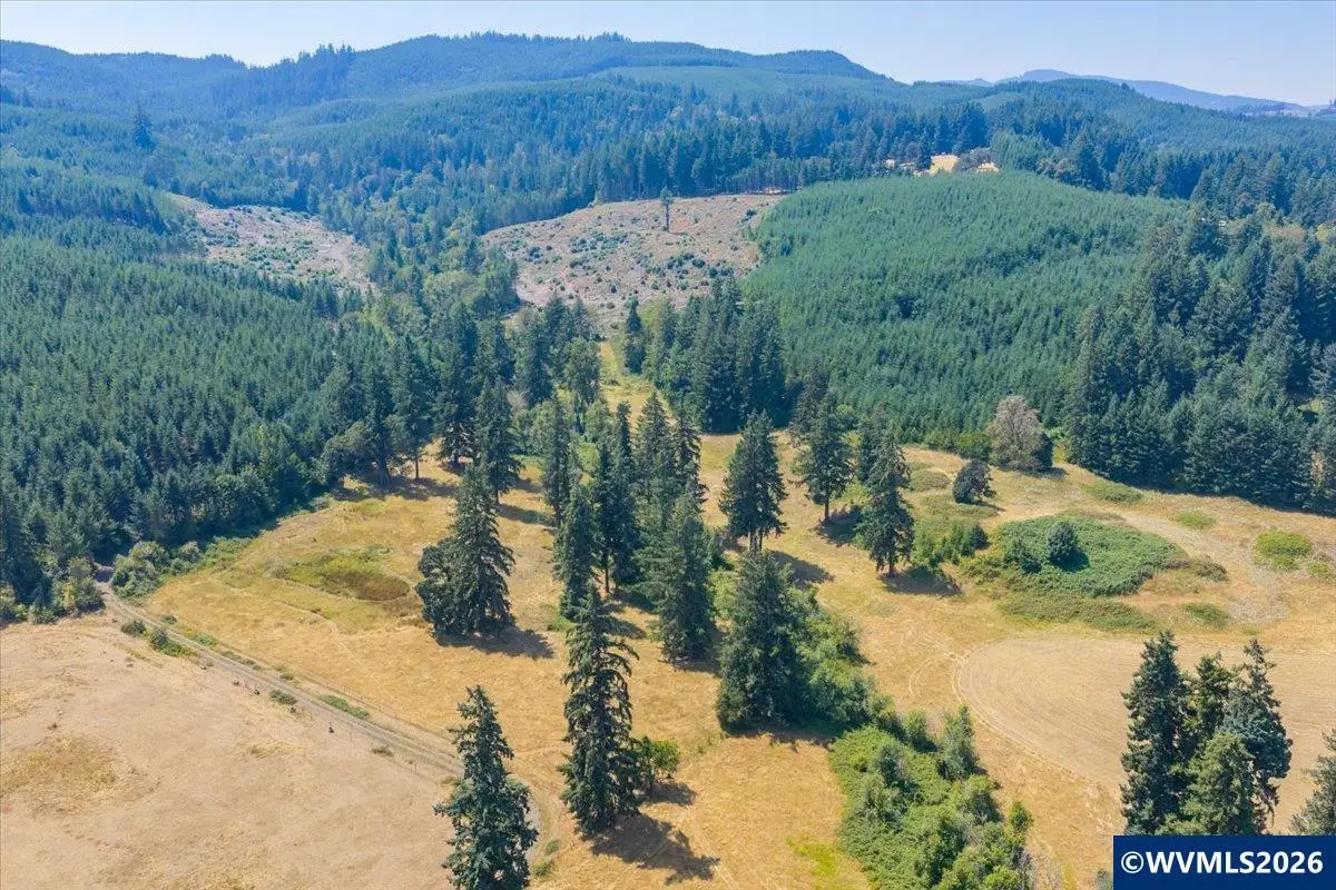 TL #801  Upper Calapooia Dr, Sweet Home, OR 97386 - #1
