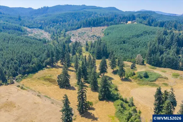 TL #801  Upper Calapooia Dr, Sweet Home, OR 97386