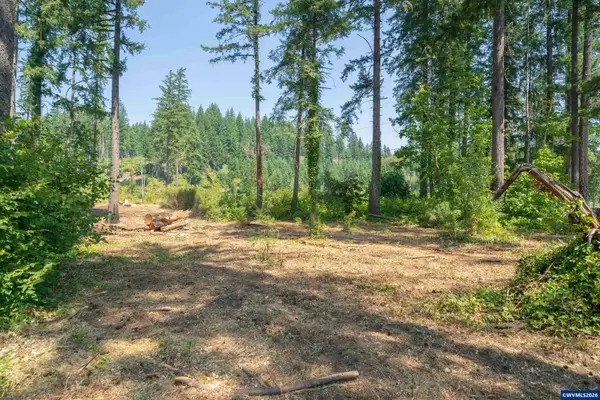 Lot 1101  Santiam Park Rd SE, Lyons, OR 97358