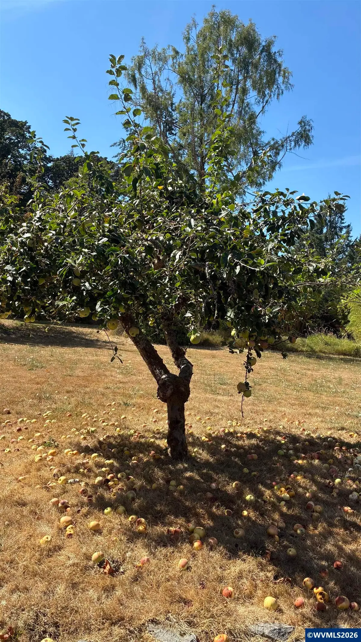 Lot 10 SW Willamette Av, Corvallis, OR 97333 - #1