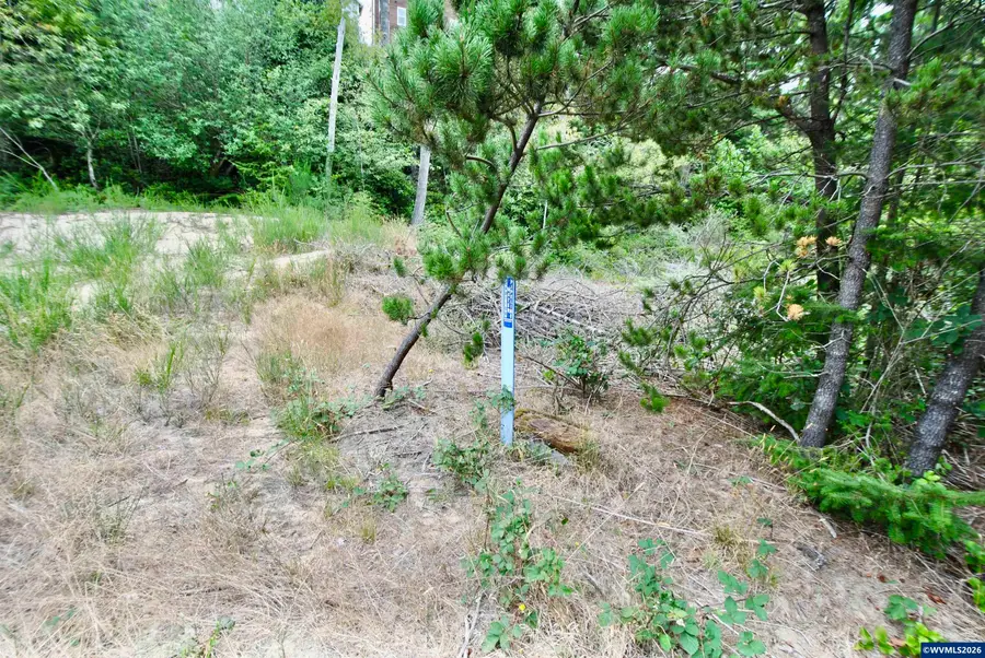 2622  Breezee Wy, Oceanside, OR 97134 - #3