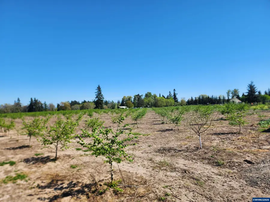 36501  Gilkey Rd, Scio, OR 97374 - #3