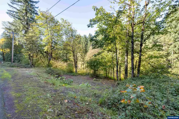 Lot 7  Highway 20, Cascadia, OR 97329