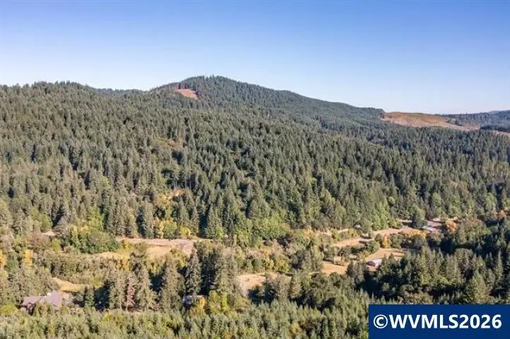 TL 164222  Woods Creek Rd, Philomath, OR 97370 - #1