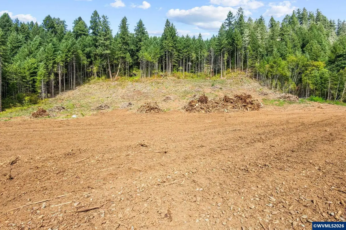 44829  Quartzville (Next To) Dr, Sweet Home, OR 97386 - #1