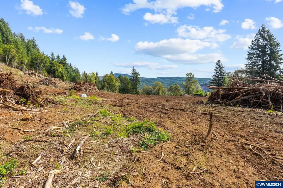 44829  Quartzville (Next To) Dr, Sweet Home, OR 97386 - #2