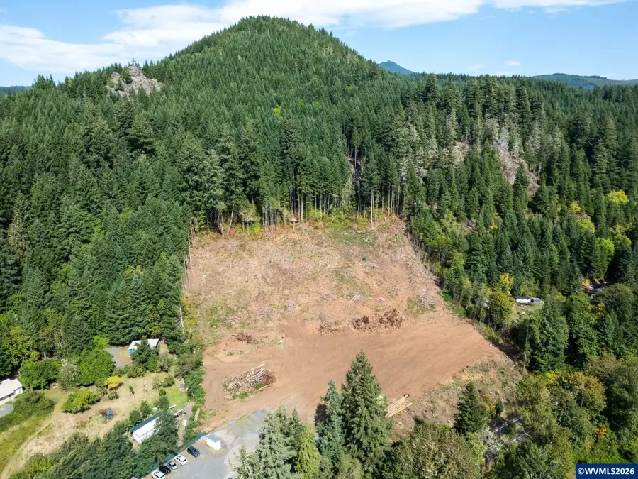 44829  Quartzville (Next To) Dr, Sweet Home, OR 97386 - #3