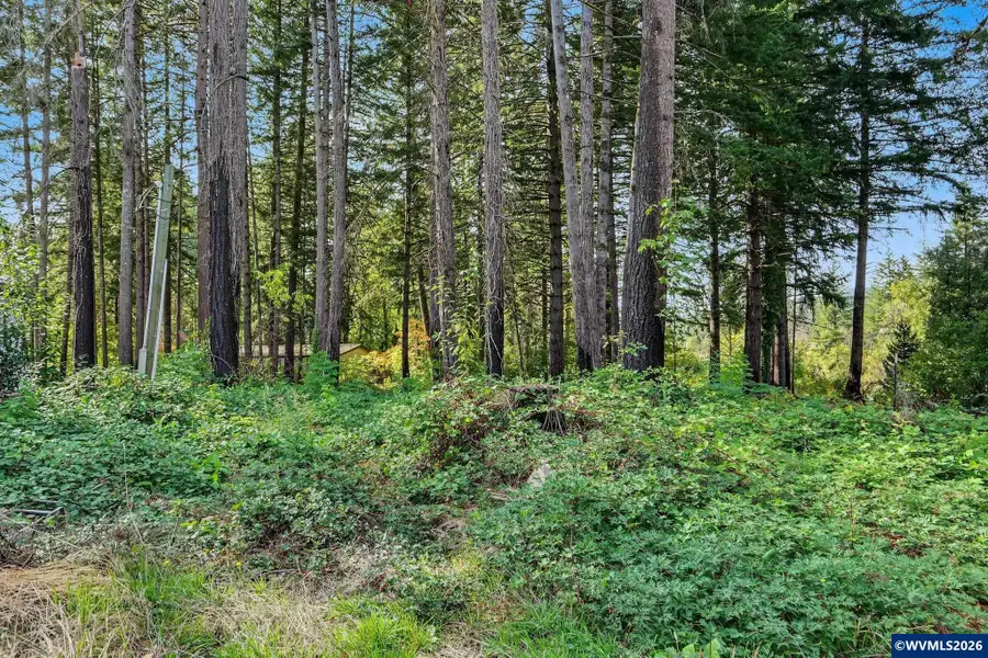 23405  Salmonberry Wy SE, Lyons, OR 97358 - #2