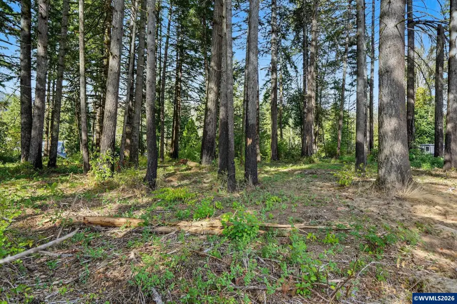 23405  Salmonberry Wy SE, Lyons, OR 97358 - #3